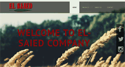 Desktop Screenshot of elsaied.com