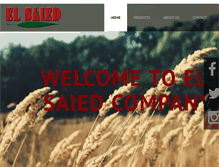 Tablet Screenshot of elsaied.com